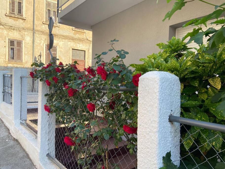 Green Oasis New Apartment Пула Екстериор снимка
